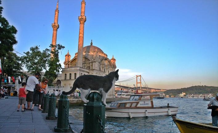 daily troy tour from istanbul