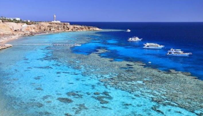 5 Nights - 6 Days Sharm El Sheikh Tour at 4 Star Hotels