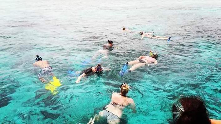 Swimming with Turtles in Zanzibar