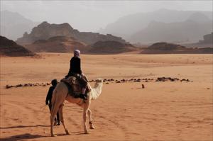 Camel Ride Tour in Wadi Rum