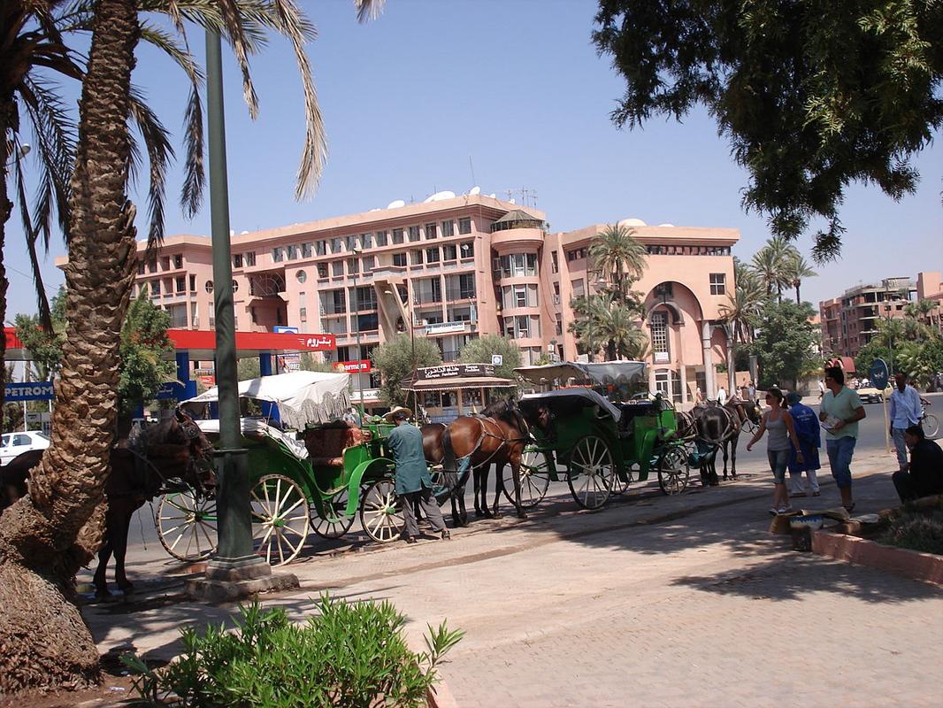 Marrakesh Airport Taxi Transfers Local Transportation in Marrakesh