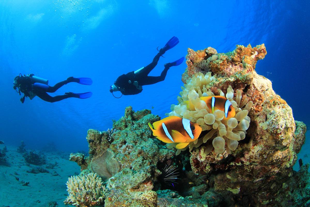 Sharm El Sheikh Shuttle