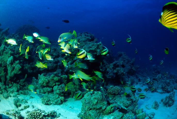 12 Nights & 13 Days Cairo & Nile Cruise & Hurghada Tour