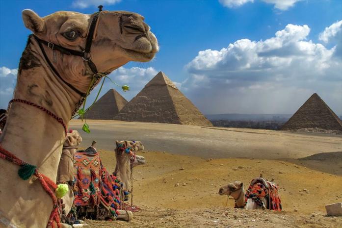Private 12 Days Cairo, Alexandria, The Nile, and Hurghada Tour Package