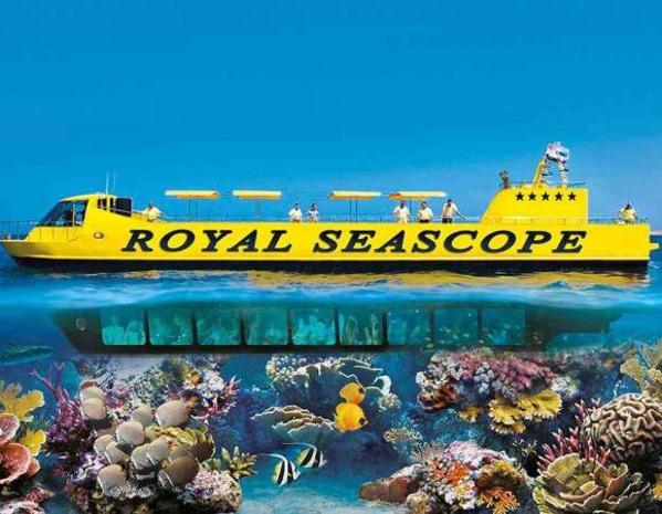 Excursions et activités à Sharm El-Sheikh